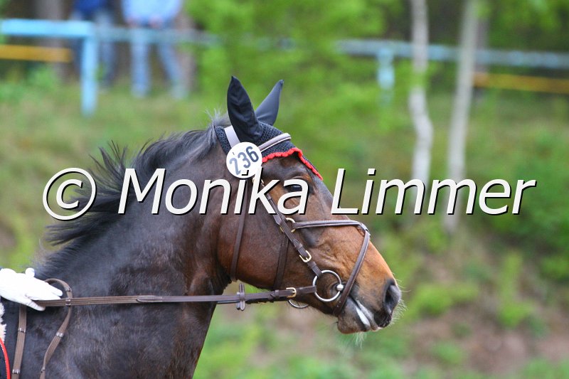 005L4891_Sissi T_Spring  Ax.JPG